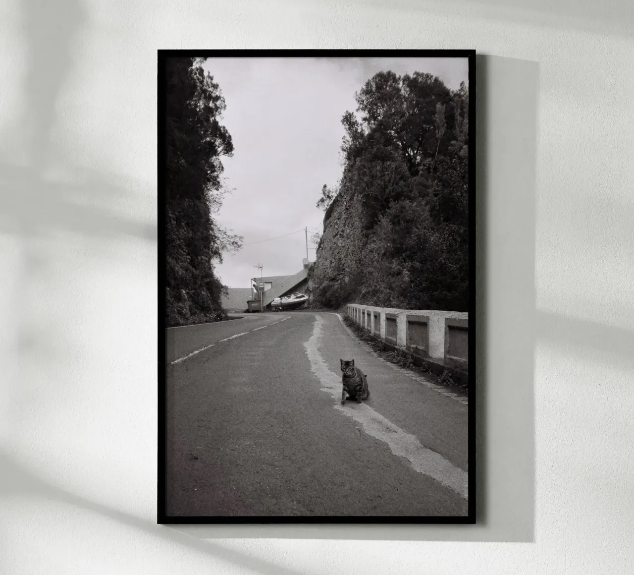 Gatto e barca poster da Mane