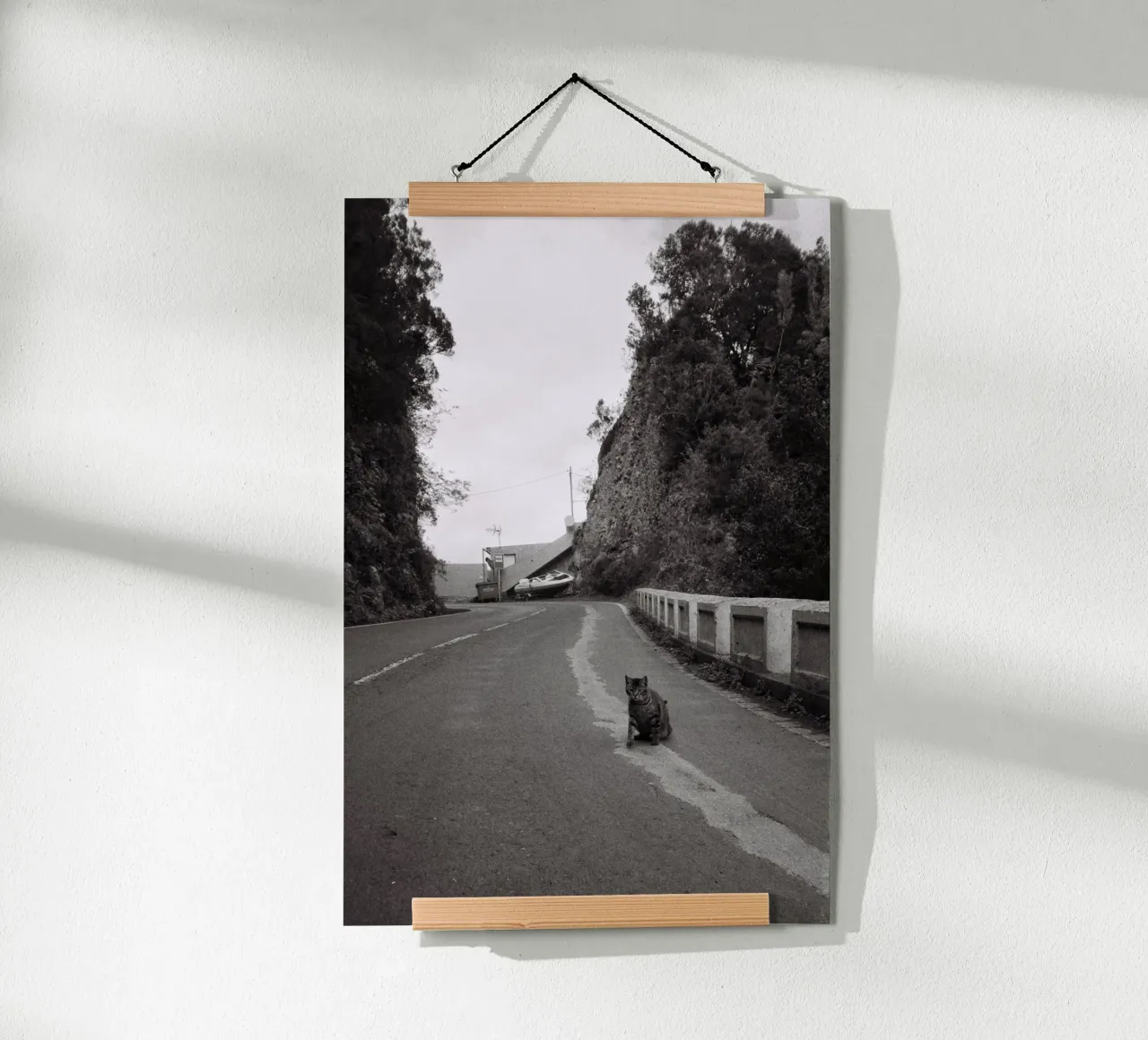 Gatto e barca poster da Mane