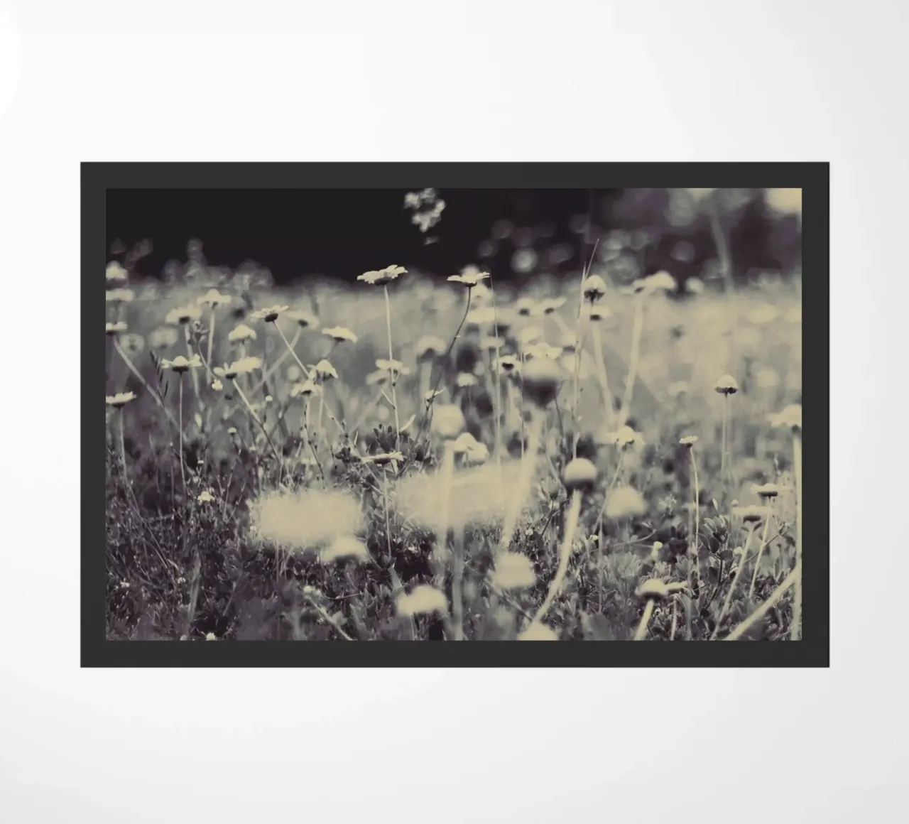 wild and free doormat by Ingrid Beddoes