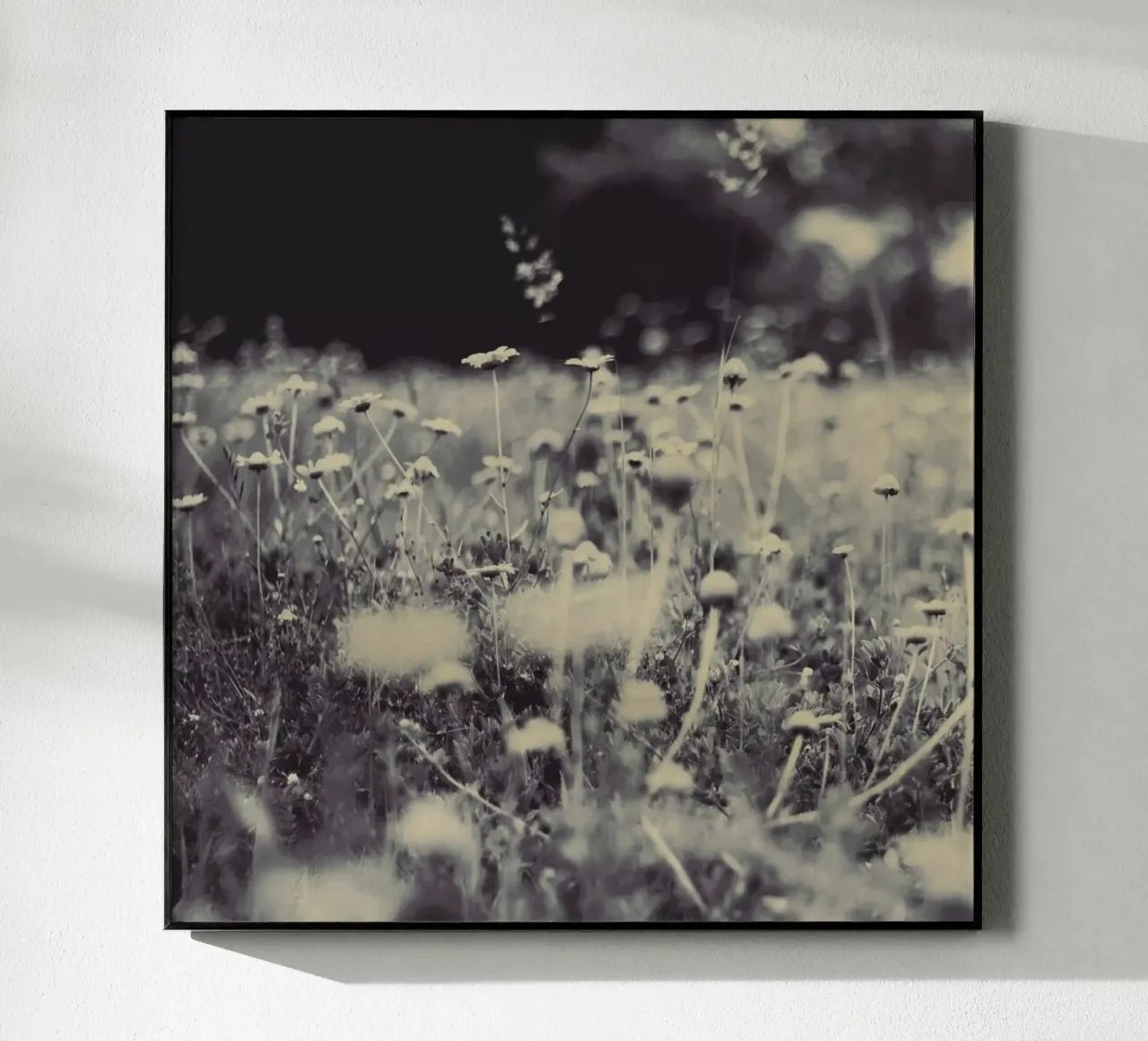 wild and free plexiglass da Ingrid Beddoes