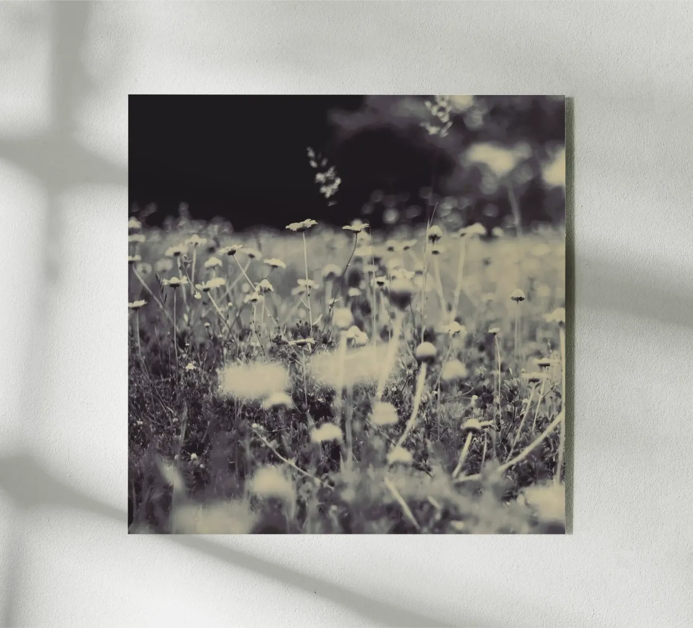 wild and free plexiglass da Ingrid Beddoes