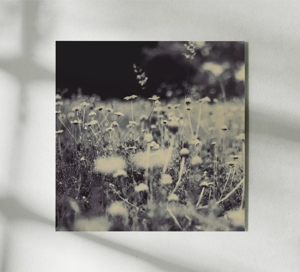 wild and free plexiglass da Ingrid Beddoes