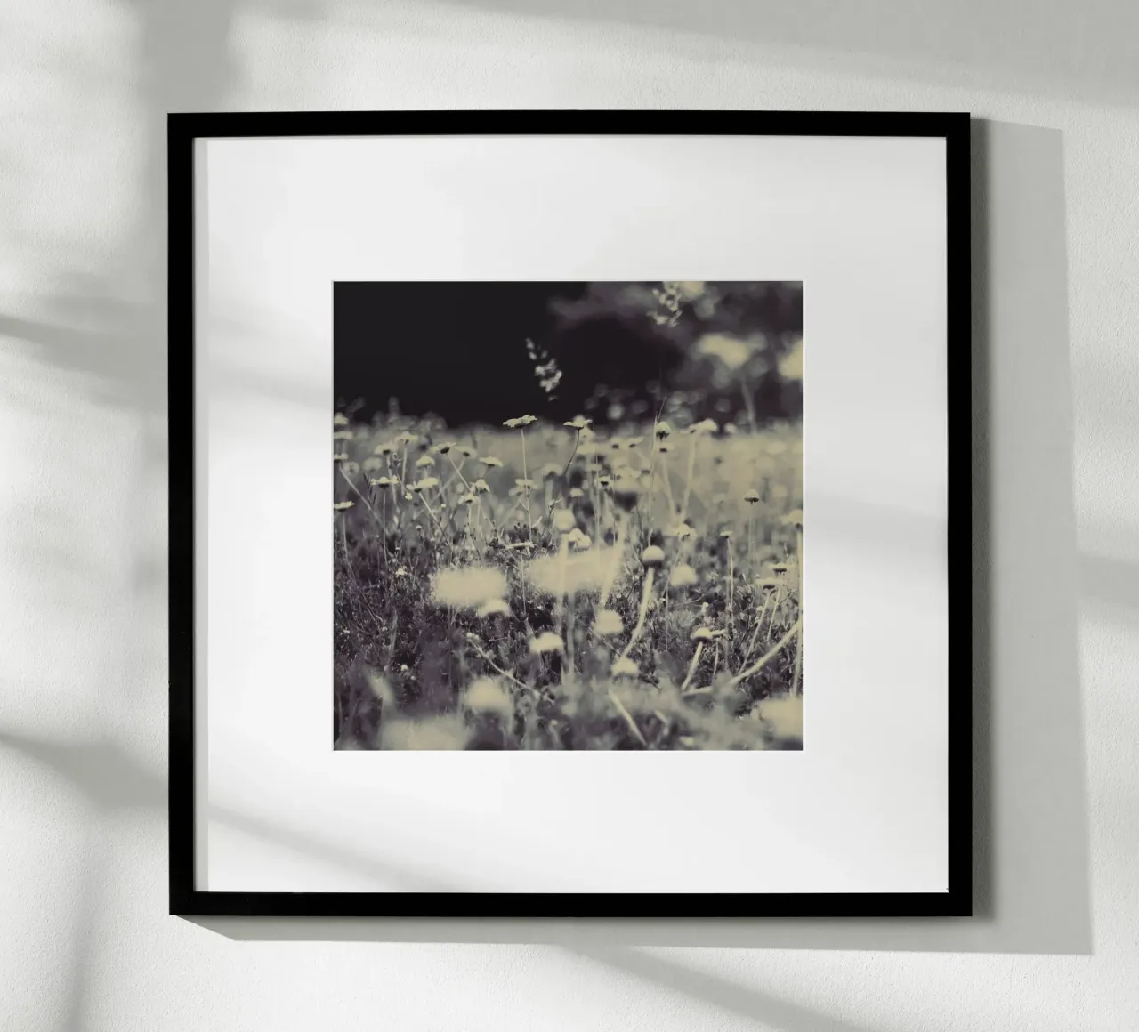 wild and free hahnemühle by Ingrid Beddoes