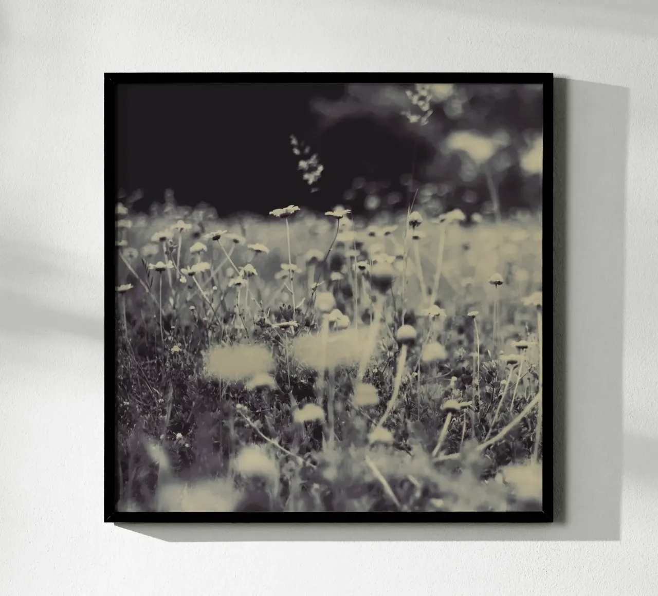 wild and free hahnemühle by Ingrid Beddoes