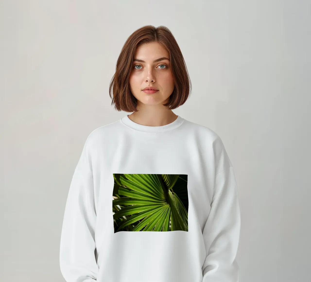 Washingtonia felpa da lesuki