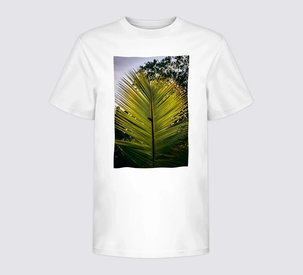 Piuma di palma t-shirt bambini da lesuki