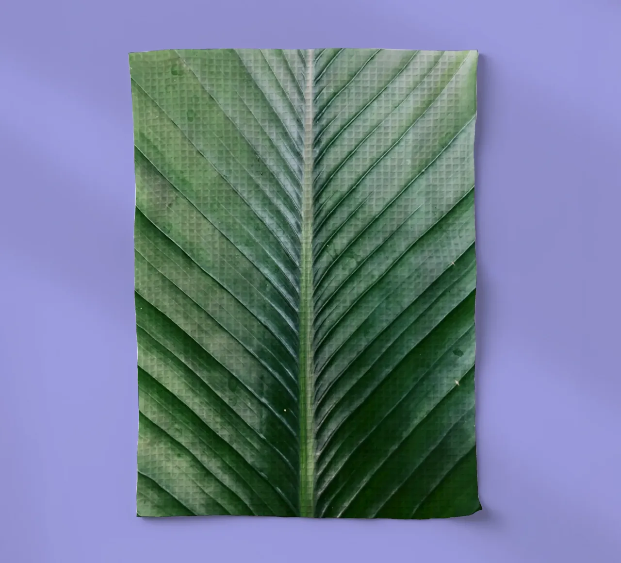 Feuille de palmier torchon de lesuki