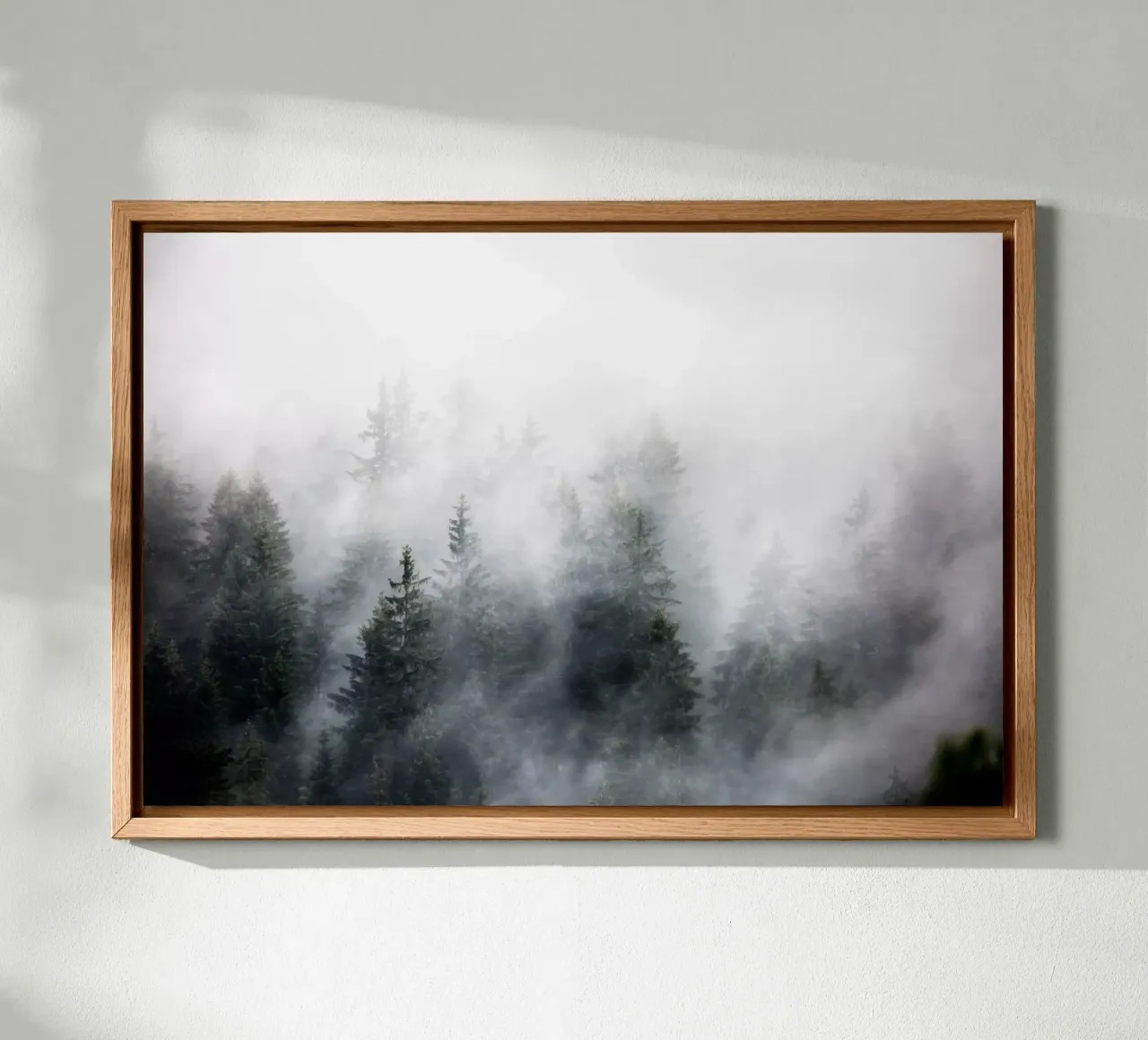 Foggy Woods 6 Alu-Dibond von Mareike Böhmer Photography