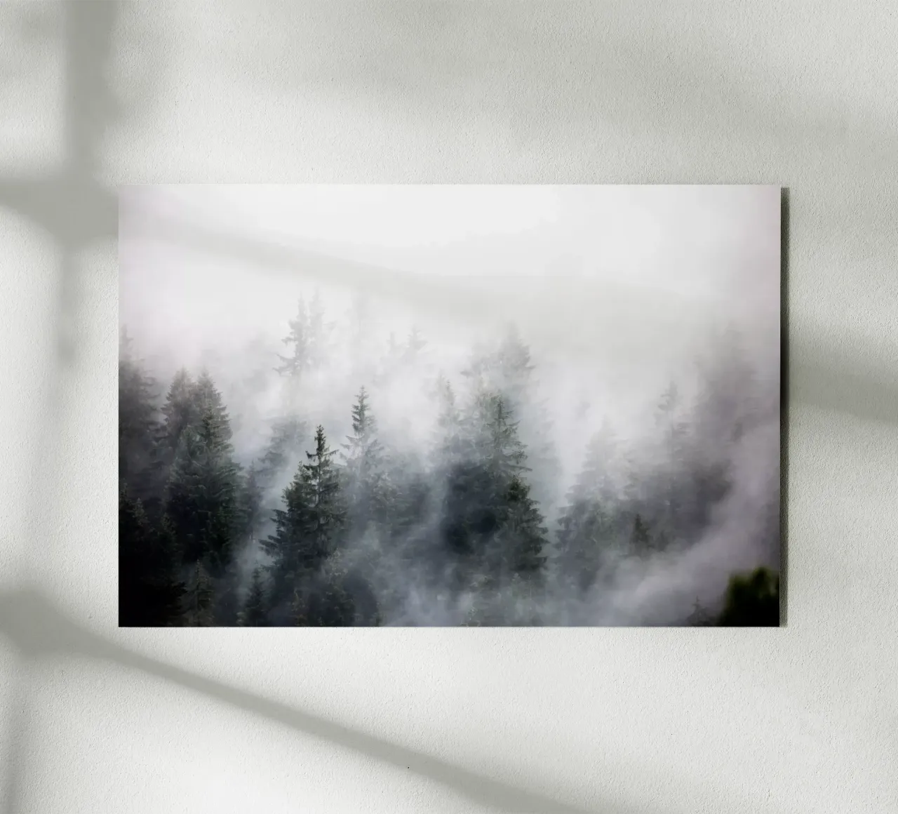 Foggy Woods 6 Alu-Dibond von Mareike Böhmer Photography