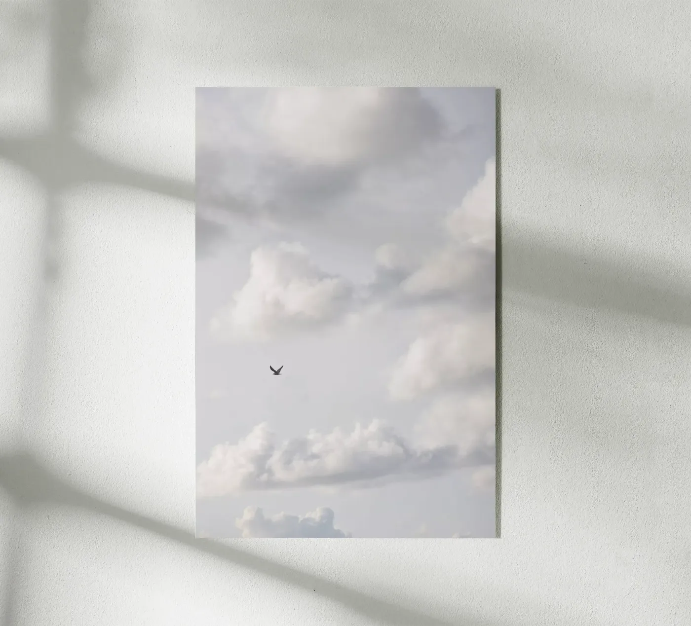 Free As A Bird 2 plexiglass da Mareike Böhmer Photography