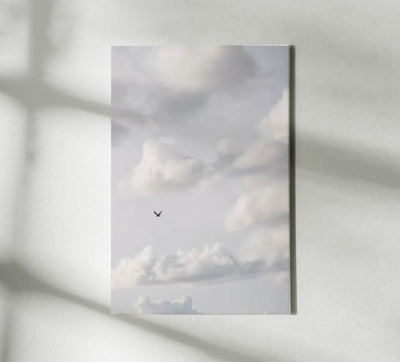 Free As A Bird 2 tela con Cornice a cassetta da Mareike Böhmer Photography