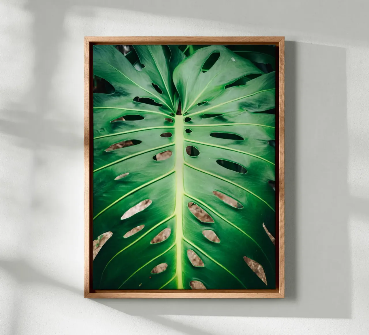 Foglia verde con fori tela con Cornice a cassetta da Earthly Visions