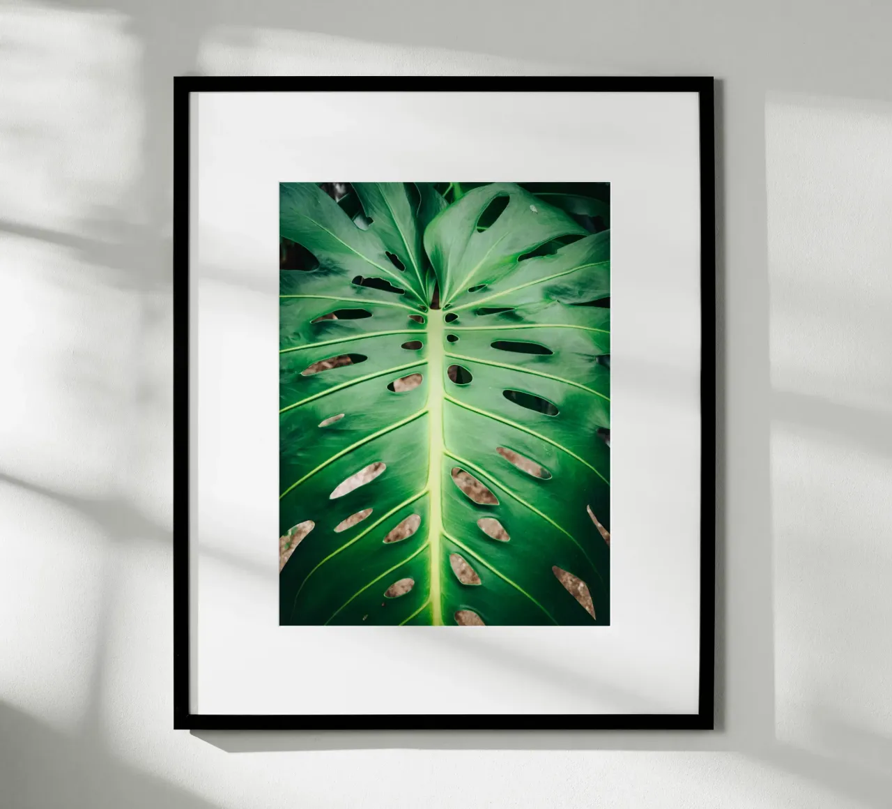 Foglia verde con fori poster da Earthly Visions