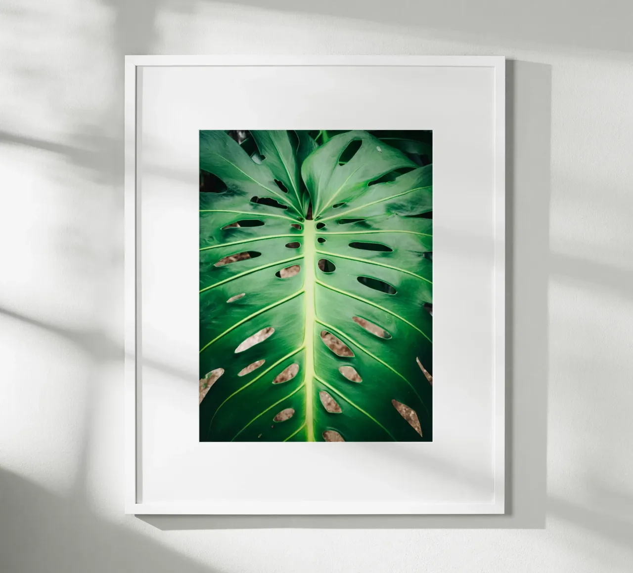 Foglia verde con fori poster da Earthly Visions