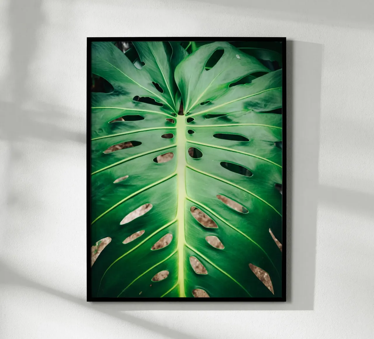 Foglia verde con fori poster da Earthly Visions