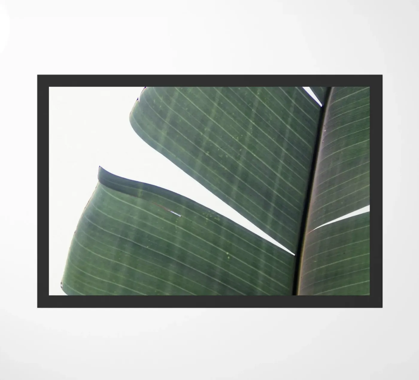 Banana leaf doormat by Earthly Visions