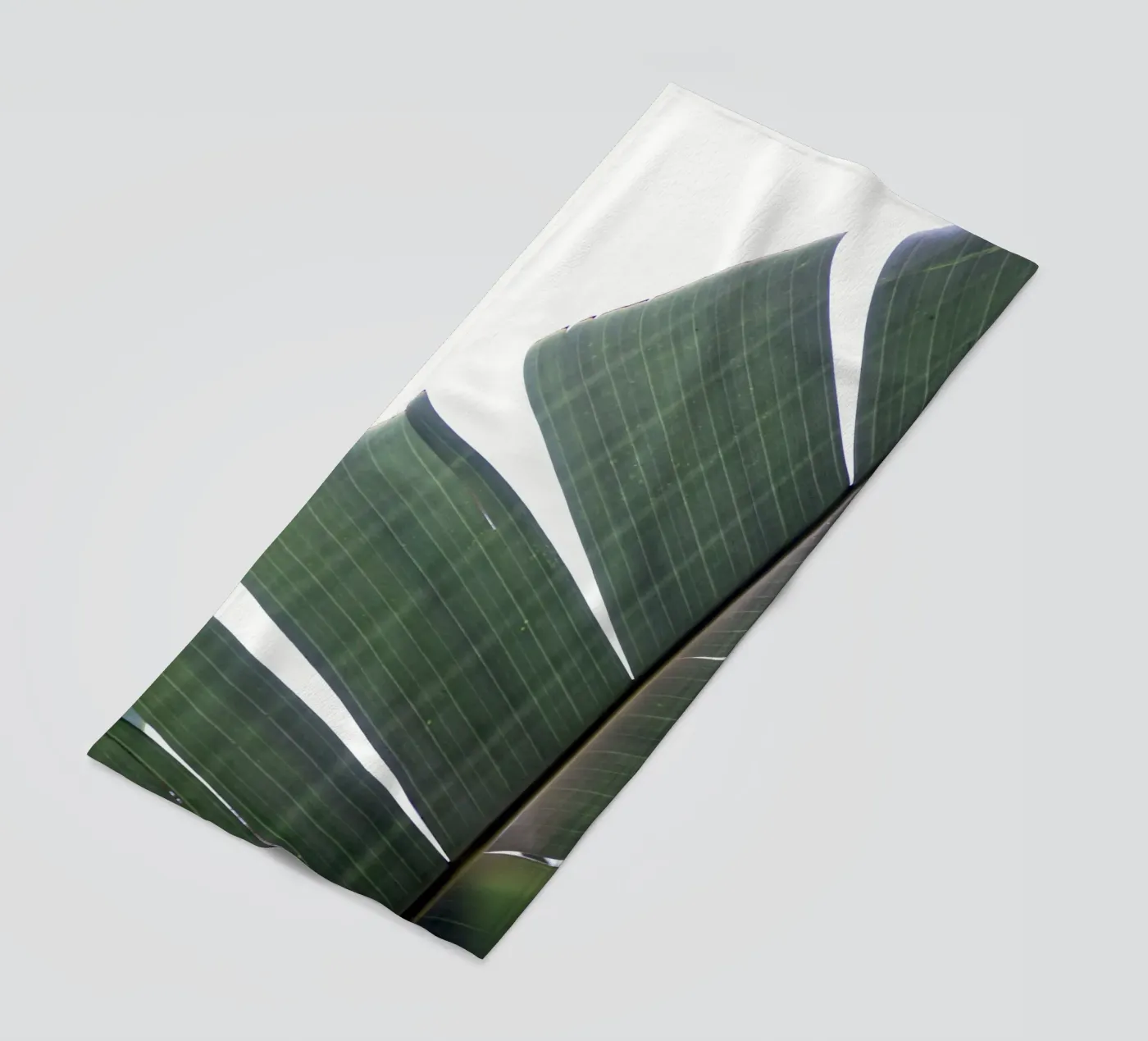 Banana leaf telo mare da Earthly Visions
