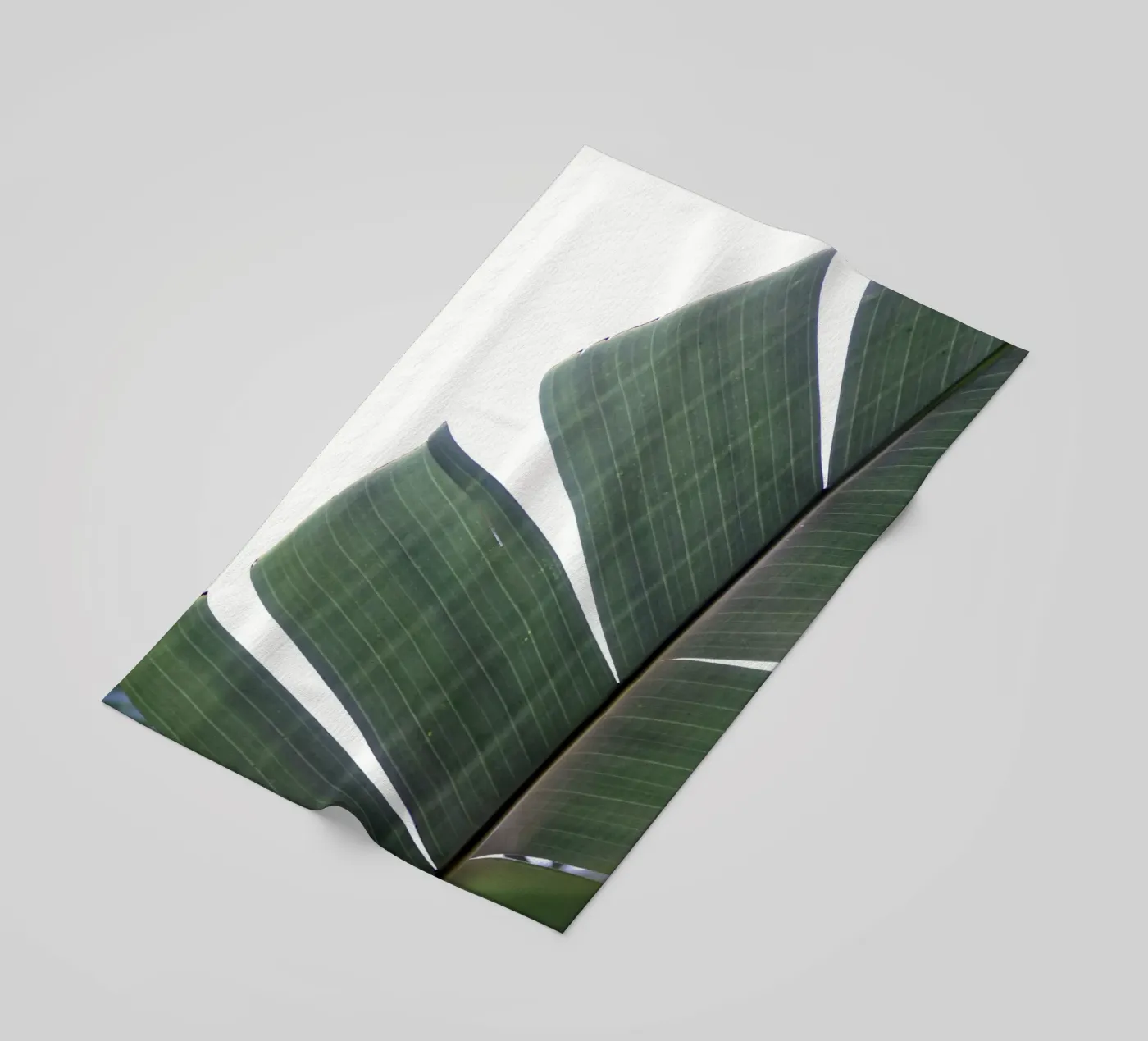 Banana leaf telo mare da Earthly Visions