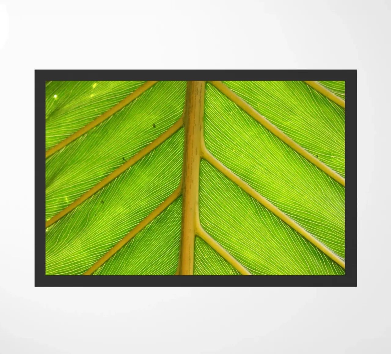 Bladnerf deurmat van Earthly Visions