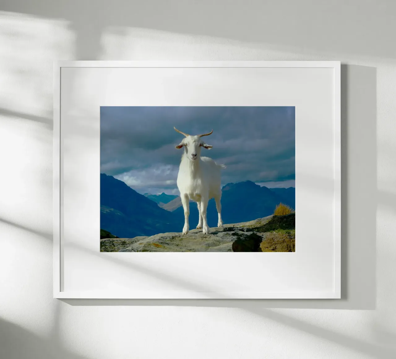 Bellezza selvaggia in cima alla montagna poster con telaio in alluminio da Nature's Palette
