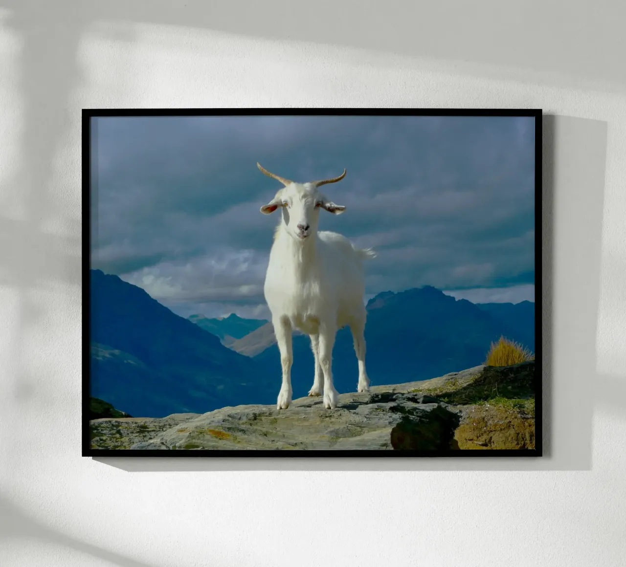 Bellezza selvaggia in cima alla montagna poster con telaio in alluminio da Nature's Palette