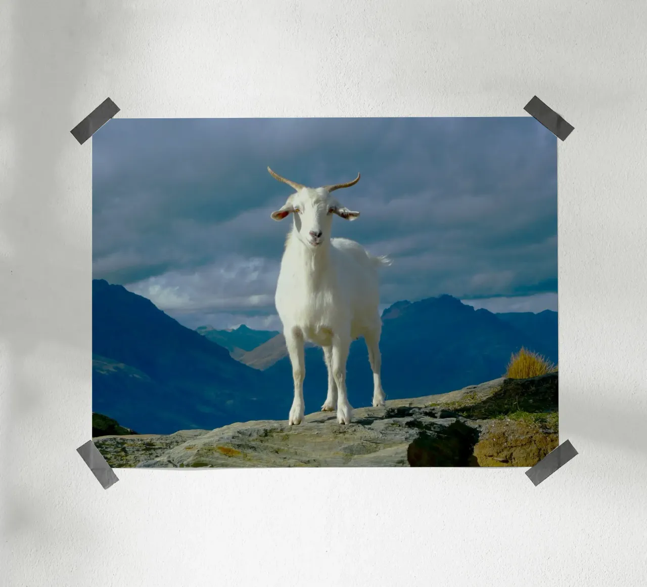 Bellezza selvaggia in cima alla montagna poster con telaio in alluminio da Nature's Palette
