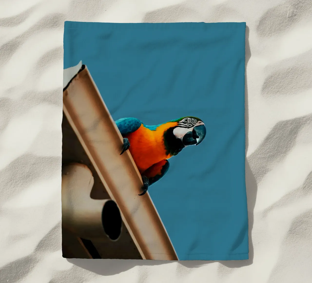 Pappagallo in volo telo mare da Nature's Palette