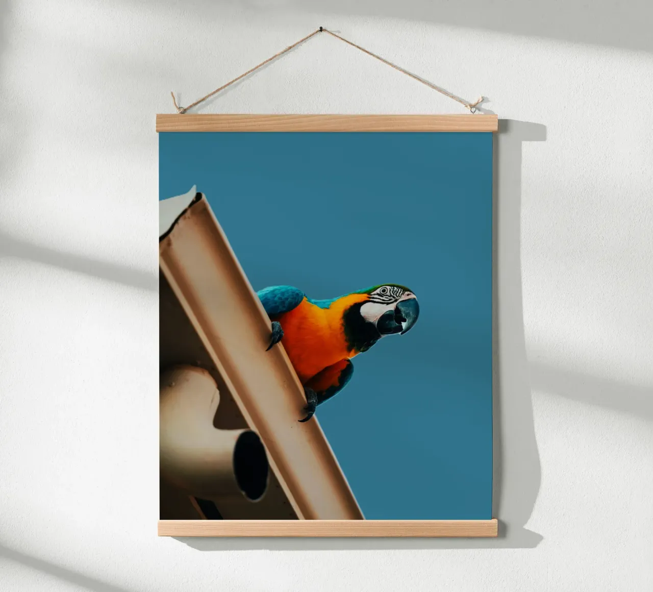 Pappagallo in volo poster con telaio in plastica da Nature's Palette