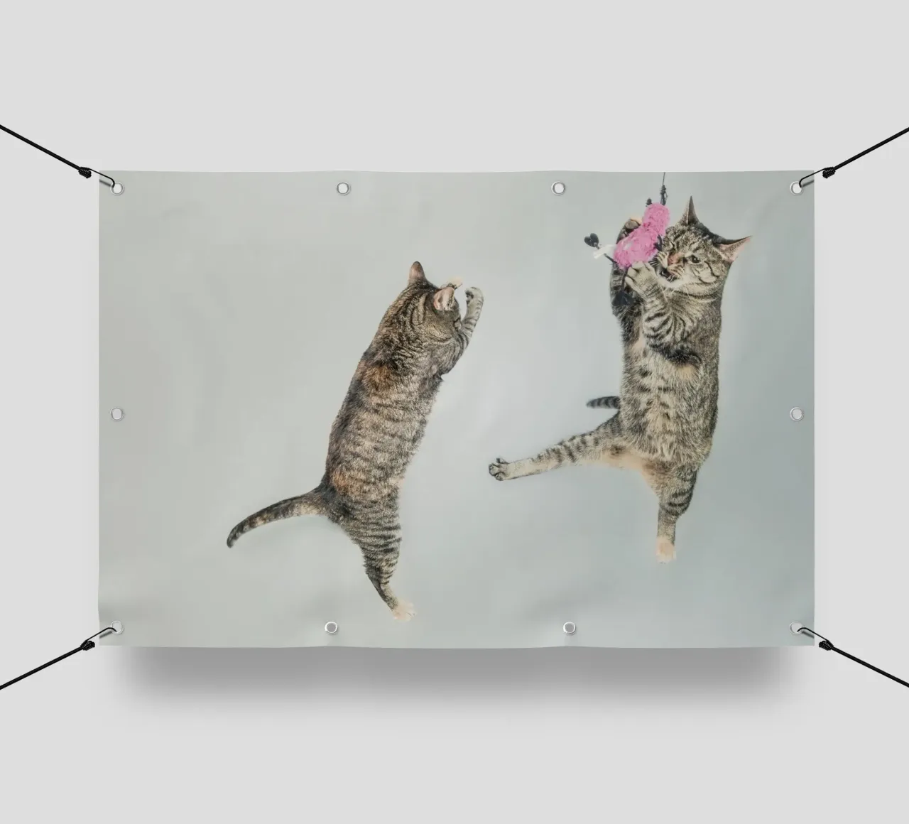 cats playing telo in pvc da vintageshop