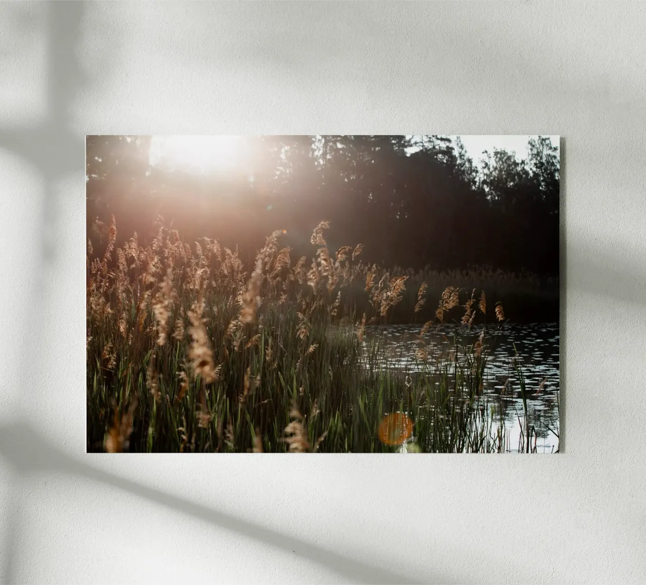 At The Lake 5 acrylic glass by Mareike Böhmer Photography