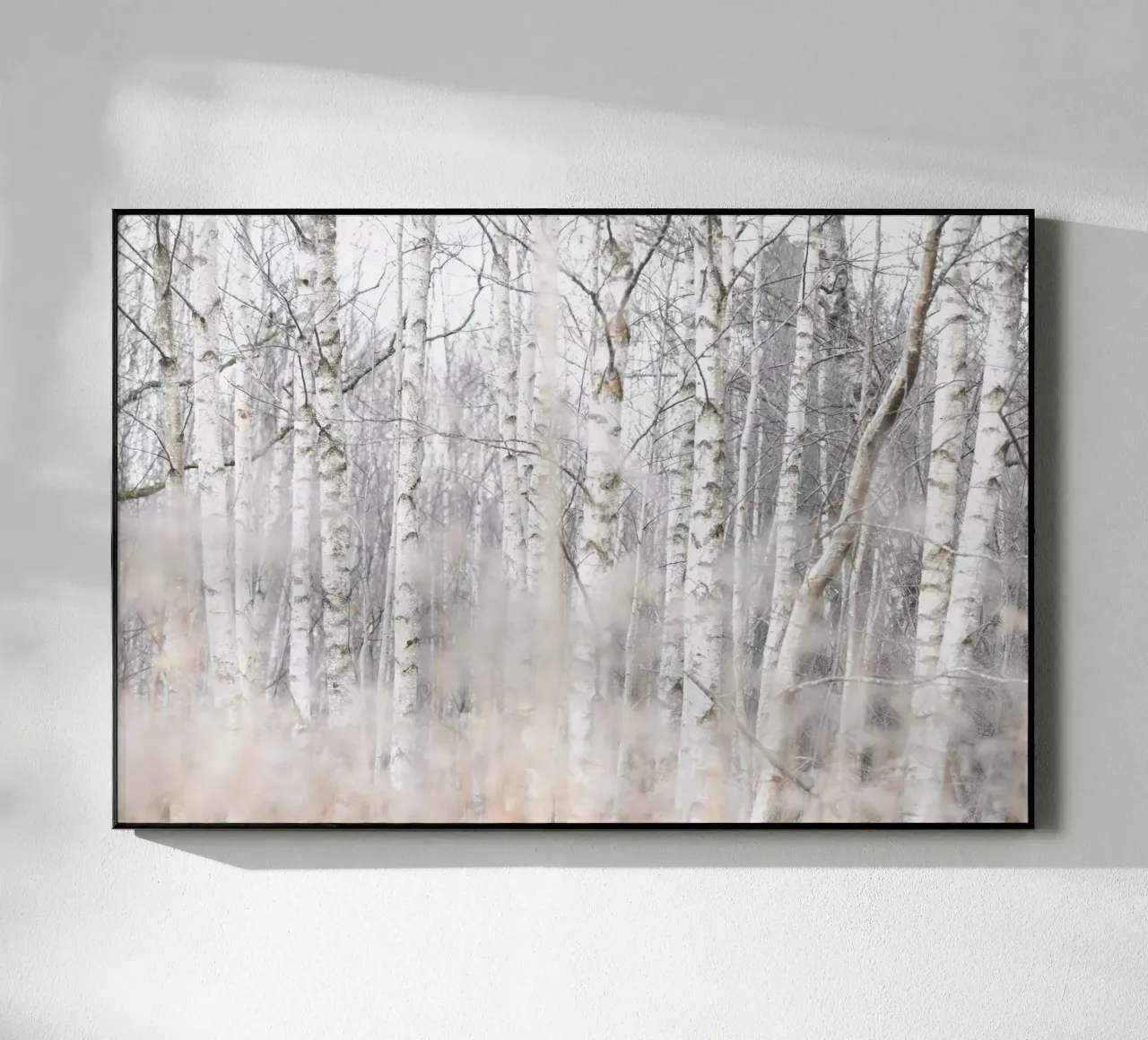 Birch Trees and Grass 1 plexiglass da Mareike Böhmer Photography