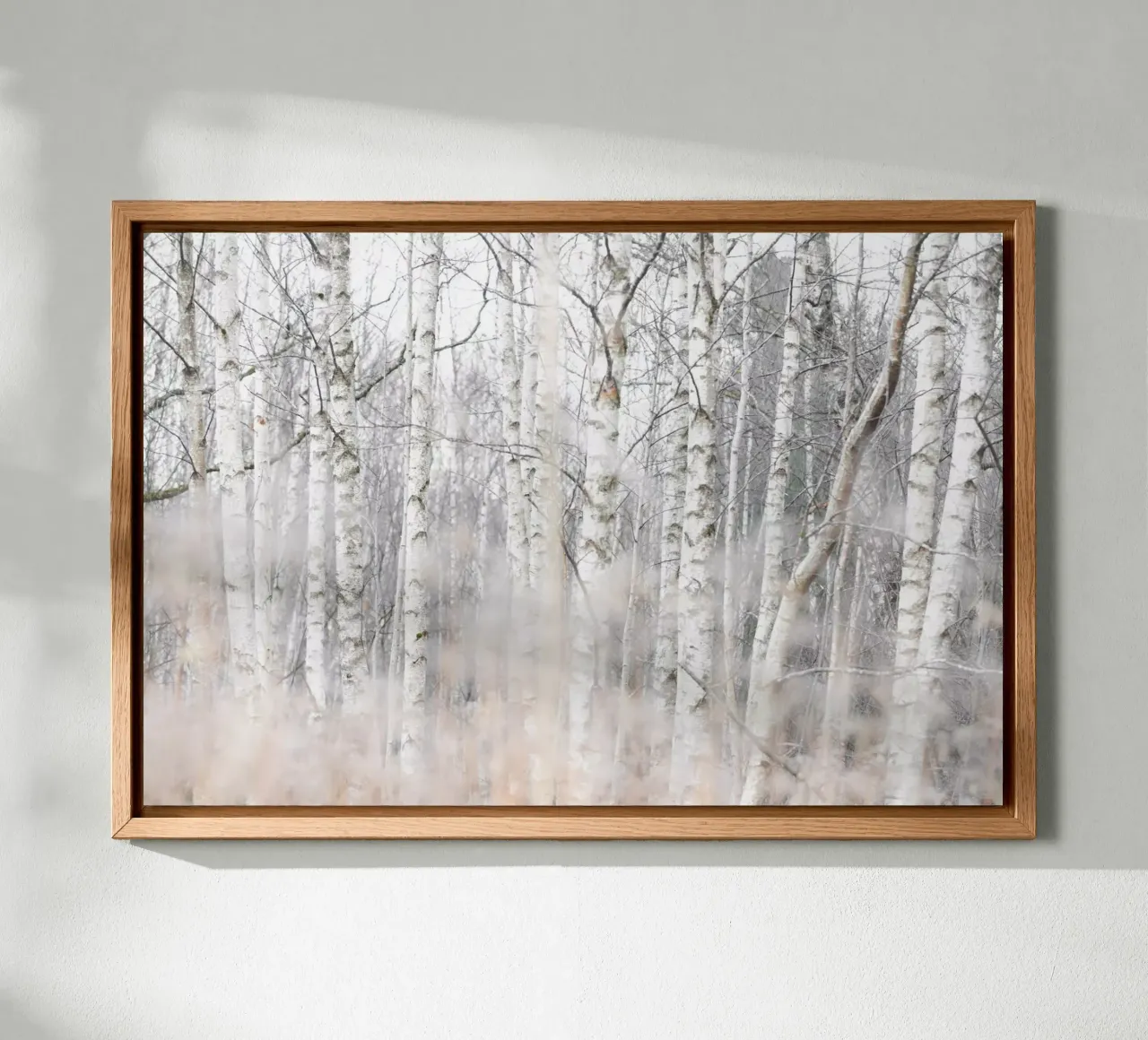 Birch Trees and Grass 1 tela da Mareike Böhmer Photography