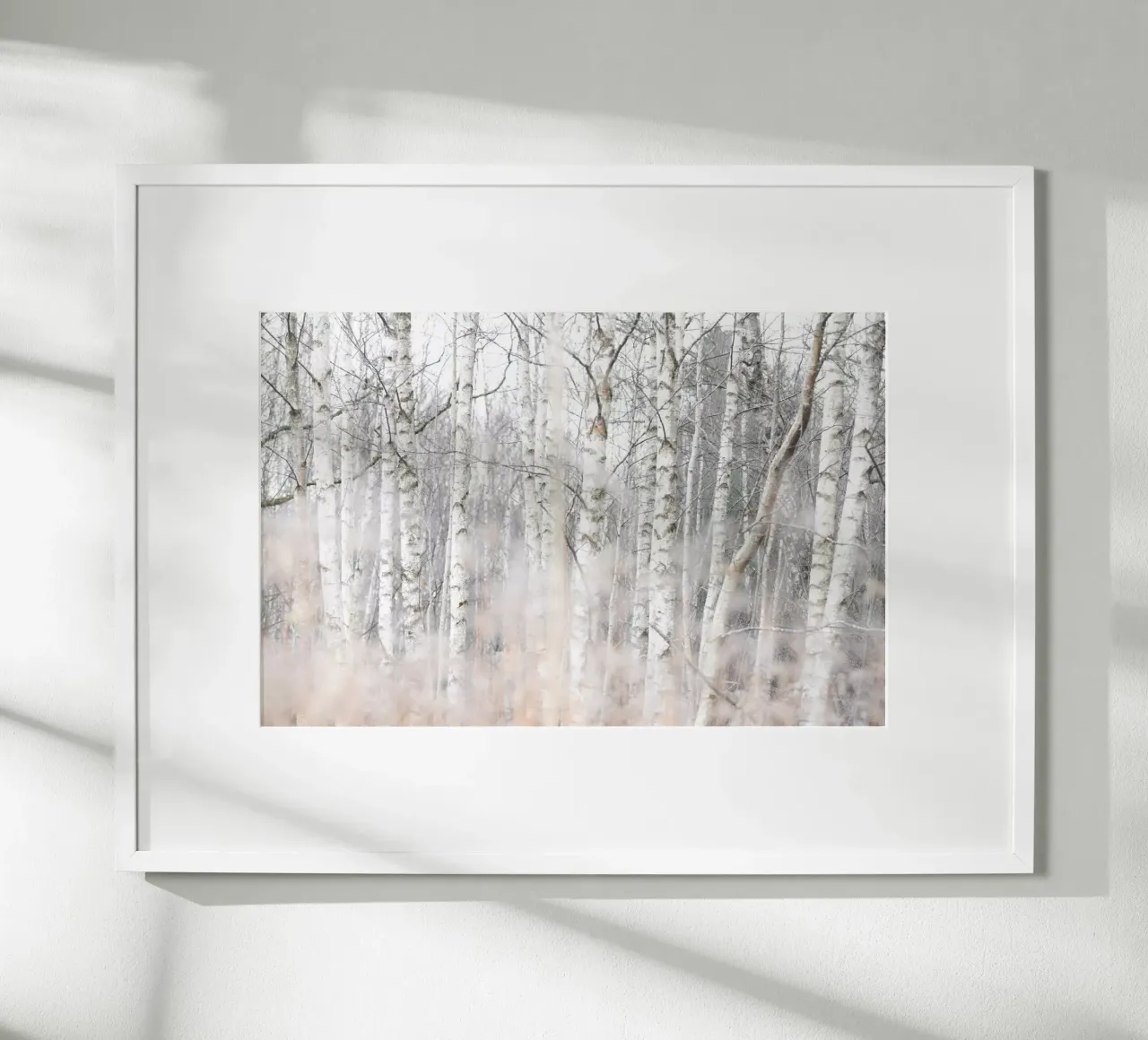 Birch Trees and Grass 1 carta hahnemühle da Mareike Böhmer Photography