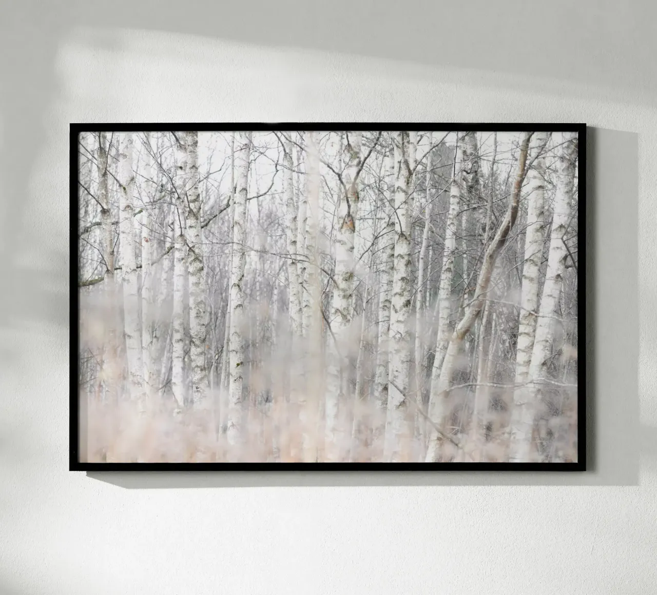Birch Trees and Grass 1 carta hahnemühle da Mareike Böhmer Photography