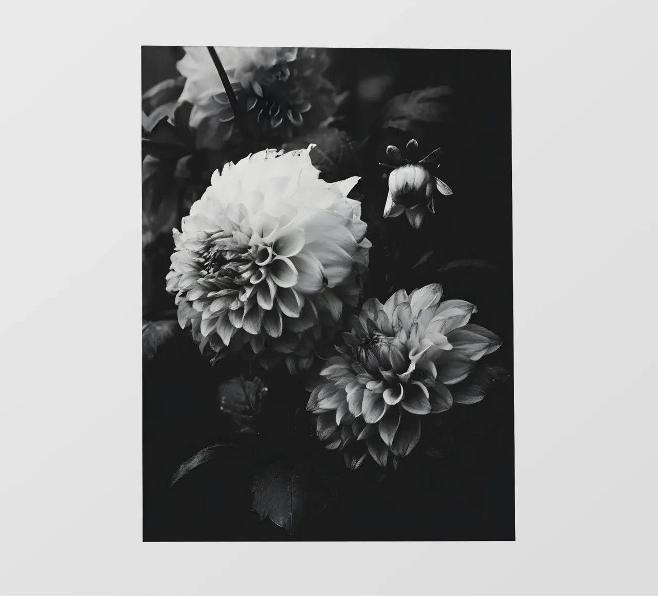 Bloom Shadows telo in pvc da Mononoir