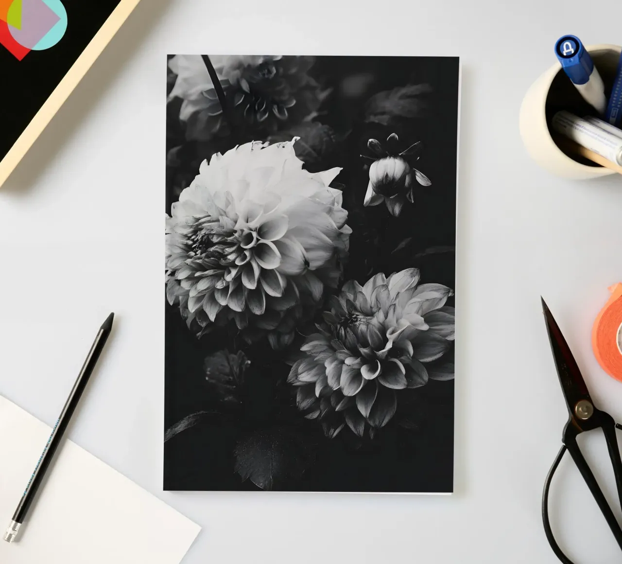 Bloom Shadows notebook by Mononoir