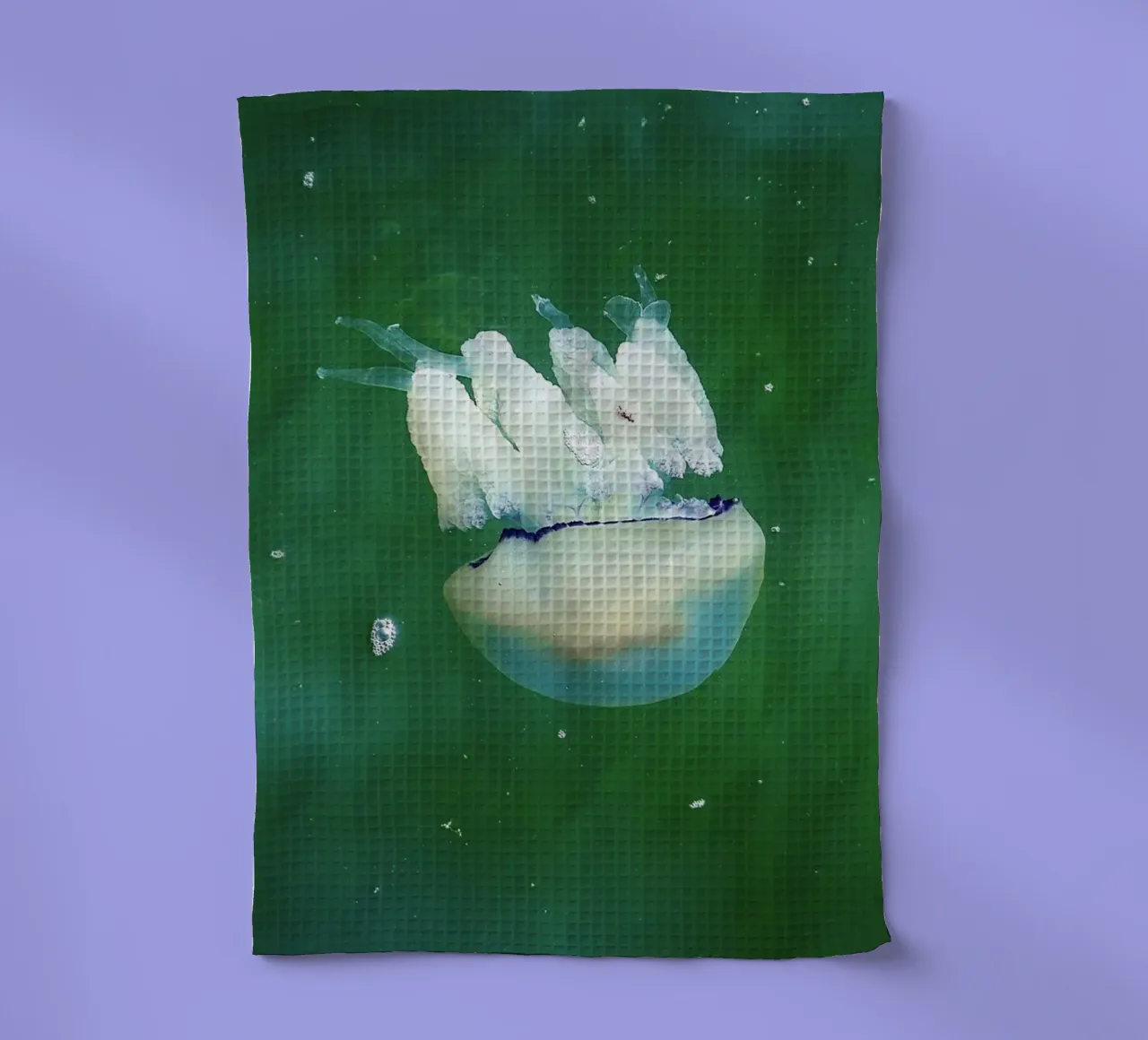 Blaugestreifte Qualle im Meer II - Marine Kunstdruck Geschirrtuch von jay