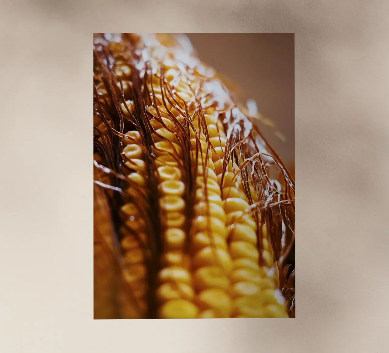 Maïskolf II - Kunstdruk backlit folie van jay