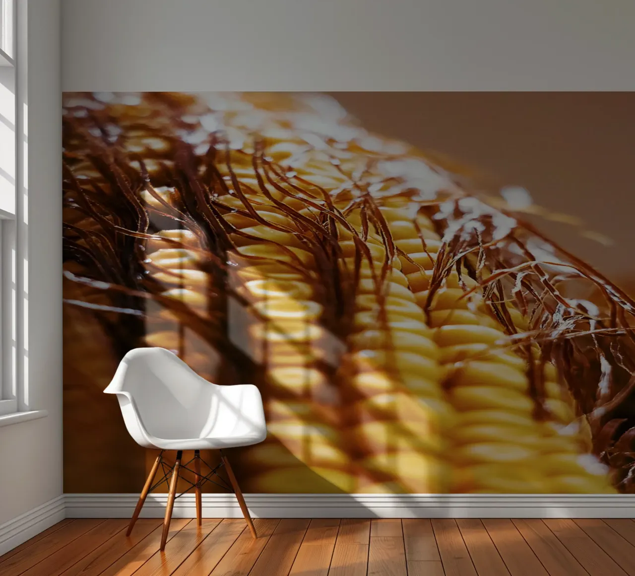 Maïskolf II - Kunstdruk fotobehang van jay