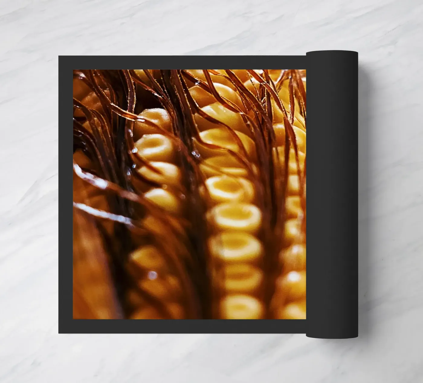 Maiskolben II - Kunstdruck Fußmatte von jay