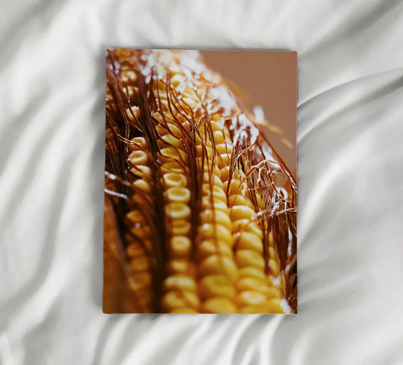 Corn Cob II – Fine Art Print notebook by jay
