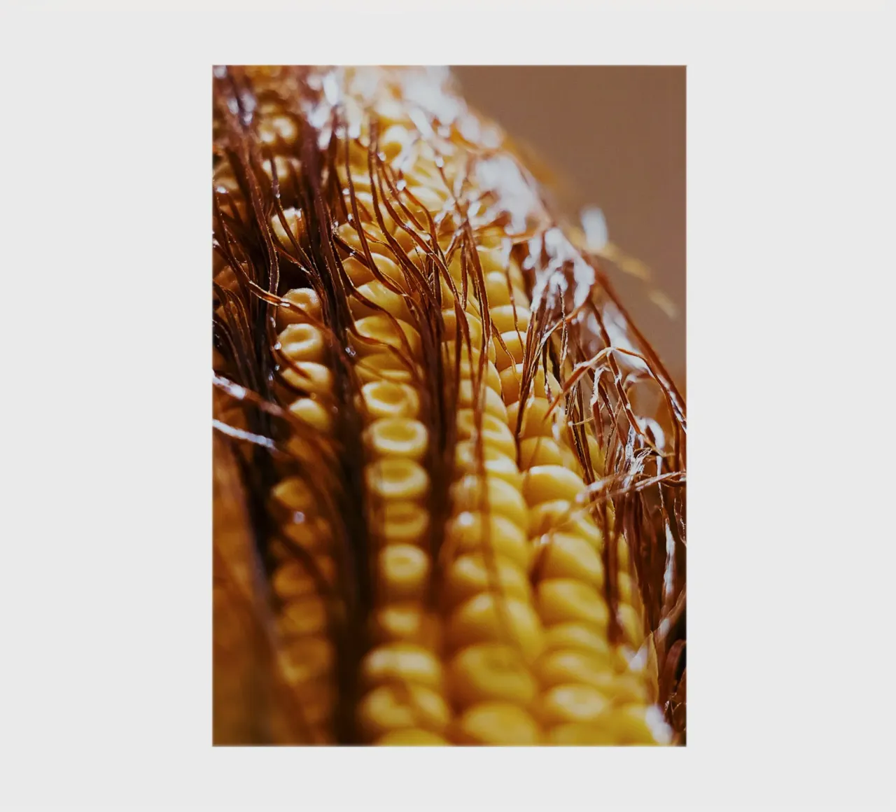 Corn Cob II – Fine Art Print notebook by jay