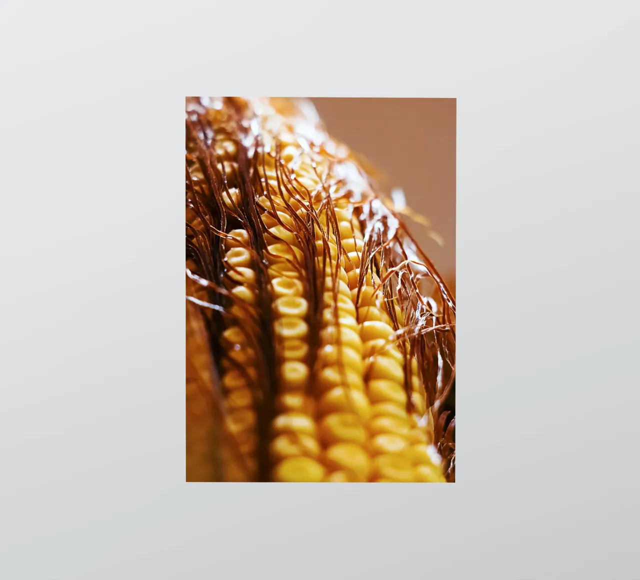 Maïskolf II - Kunstdruk sticker van jay