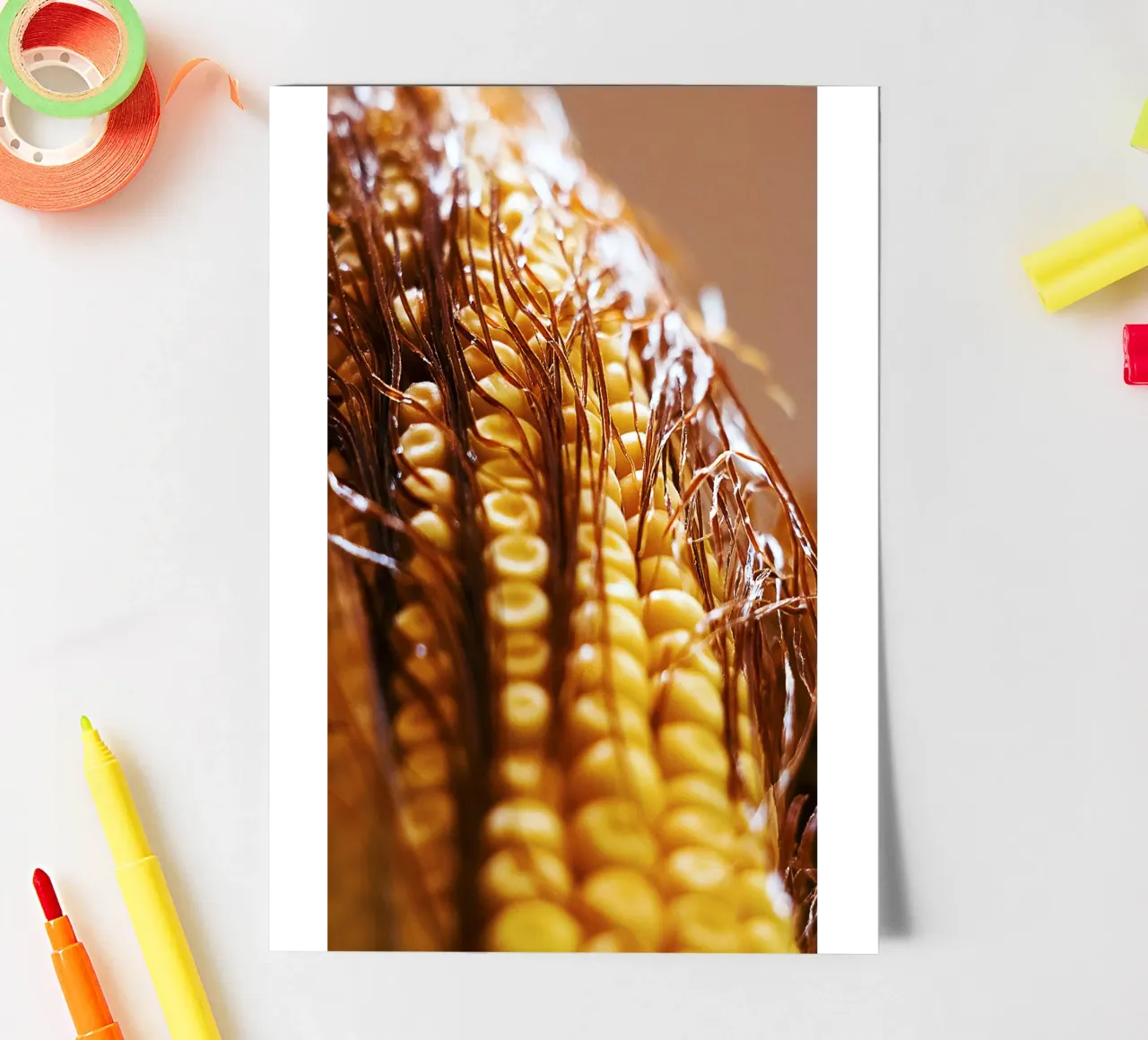 Maïskolf II - Kunstdruk stickervel van jay