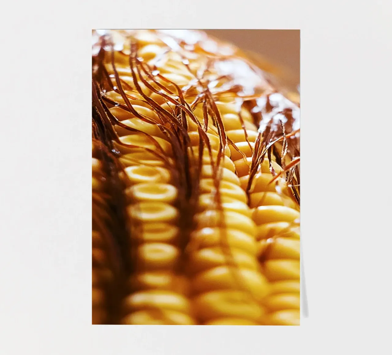 Maïskolf II - Kunstdruk stickervel van jay