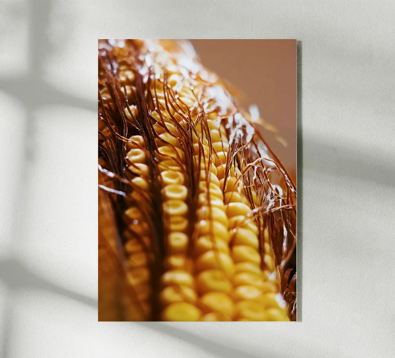 Maïskolf II - Kunstdruk acryl van jay