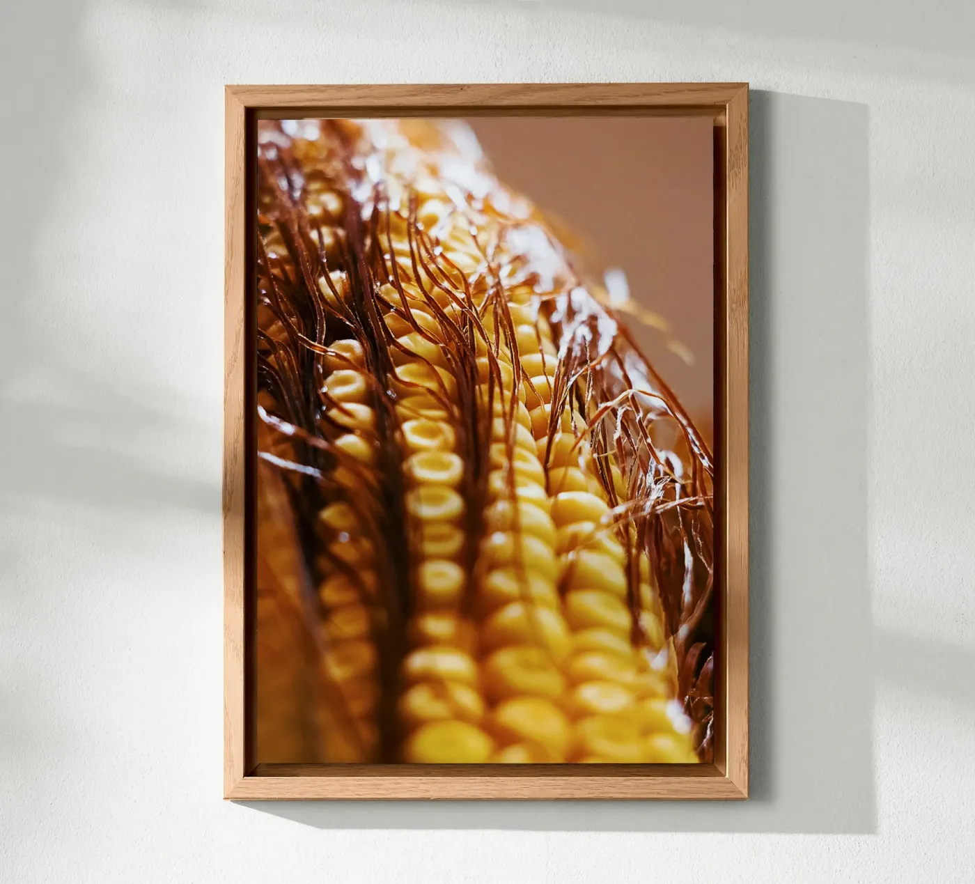 Corn Cob II – Fine Art Print forex-plaat van jay