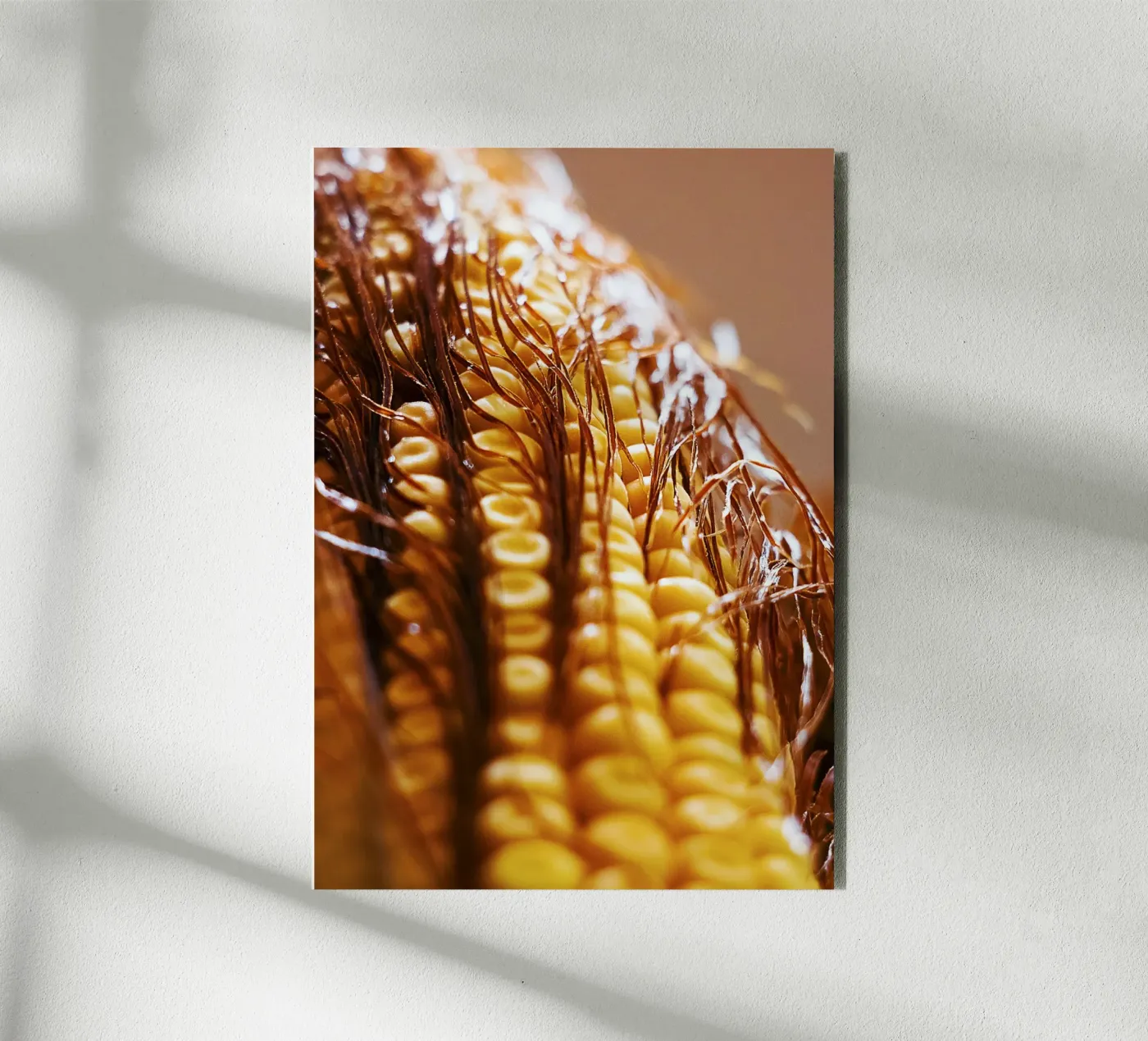 Corn Cob II – Fine Art Print forex-plaat van jay