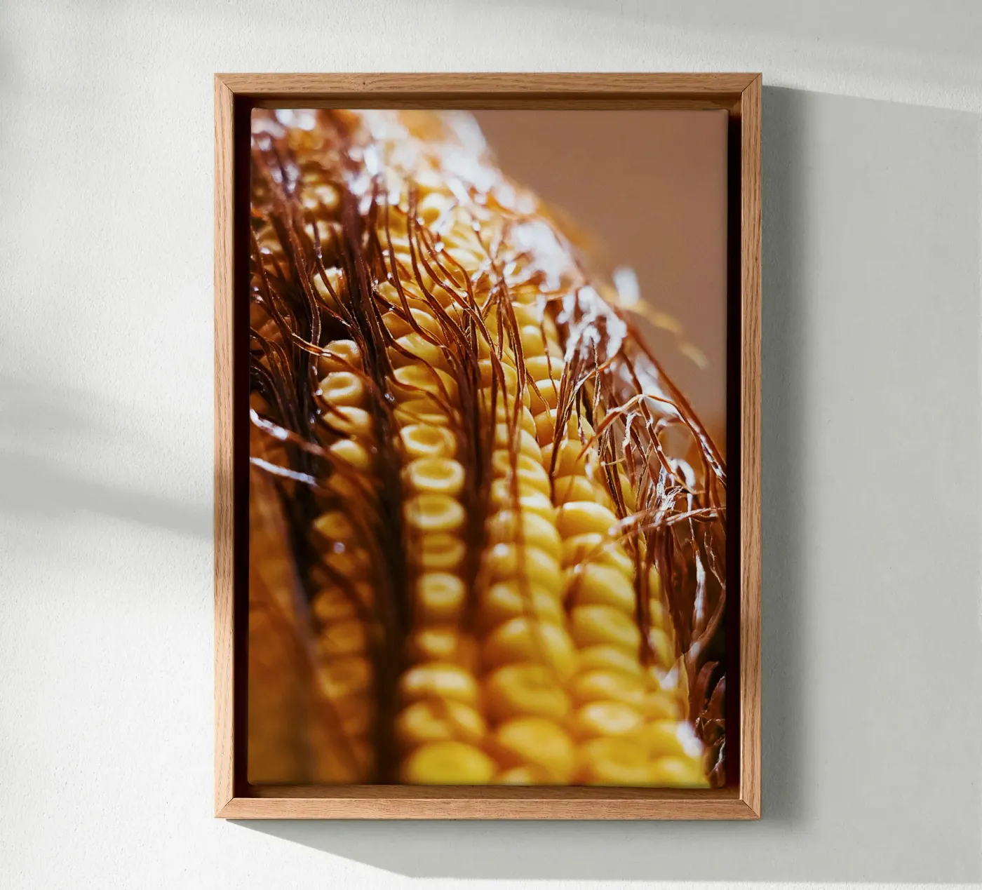 Pannocchia di mais II - Stampa fine art tela da jay