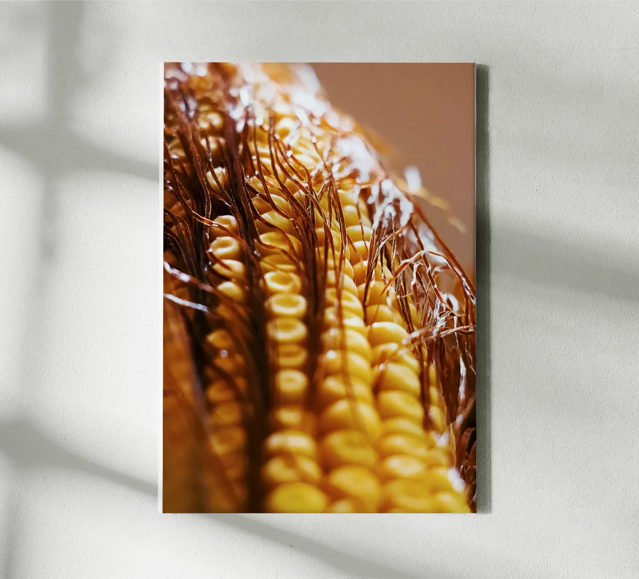 Maïskolf II - Kunstdruk canvas van jay